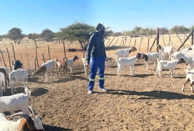 Deon Hotto at his farm -Karrel Hamutenya Updated World