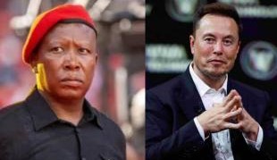 Elon Musk and Julius Malema