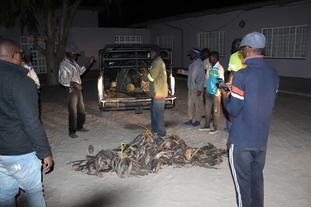 Man Arrested for Illegal Fishing in Oshakati Sewerage Pan