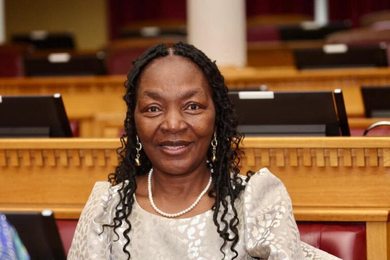 Namibia Launches N$257M Youth Fund to Combat Unemployment 1 Ericah Shafudah
