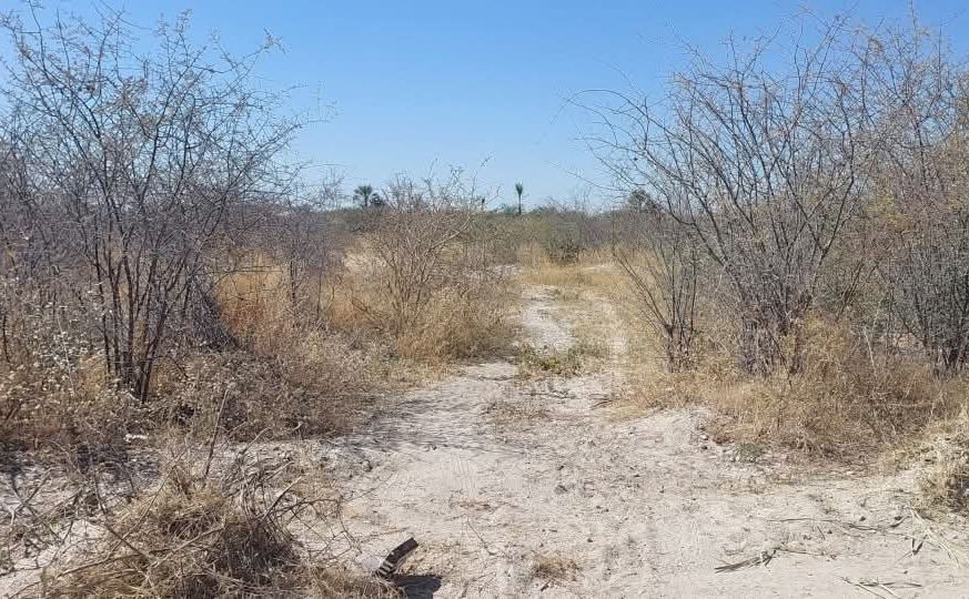 Ngurare Pushes for Activation of N$160 Million Dairy Project in Kavango East as Shambyu Land Handed Over for Agro-Processing Plant