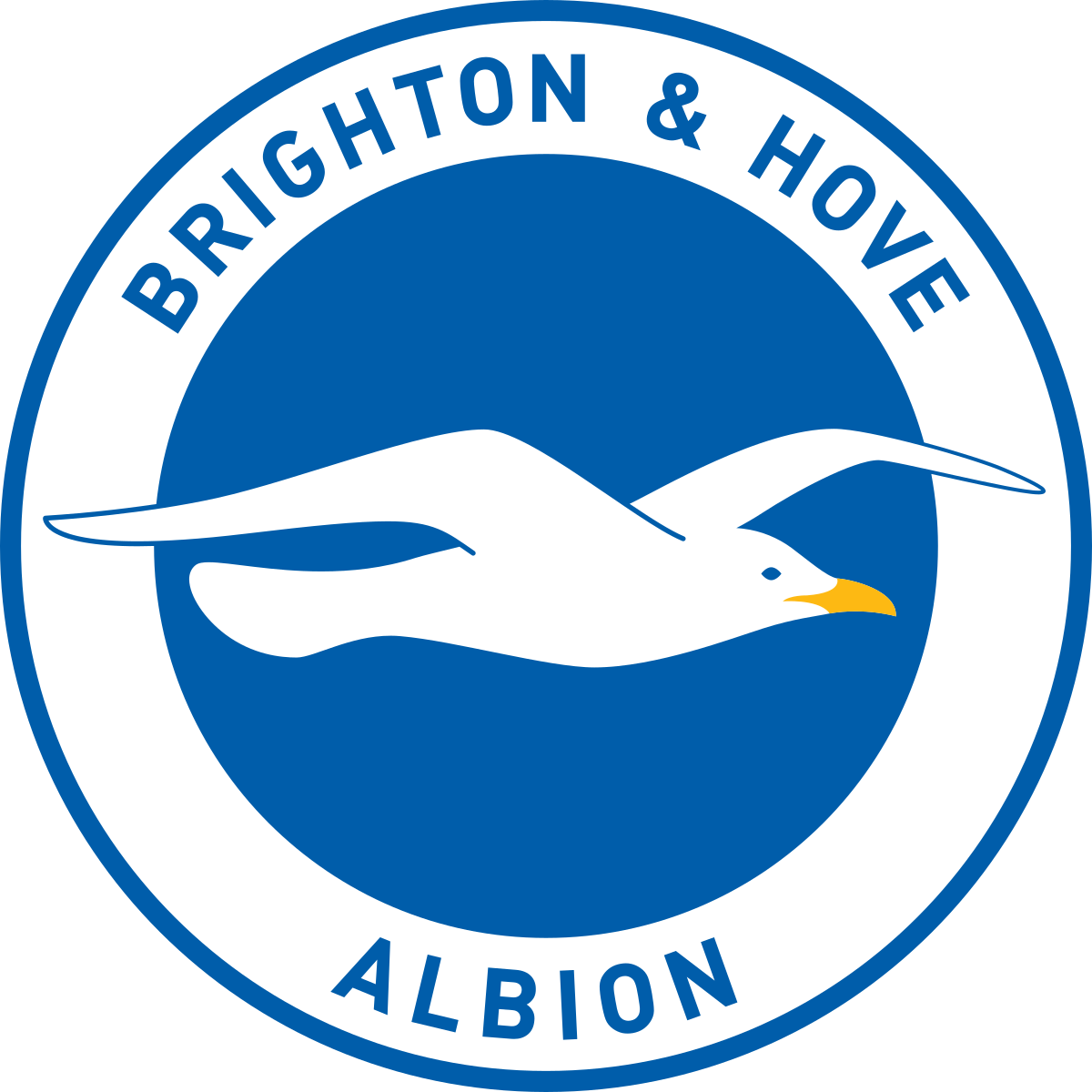 Brighton & Hove Albion F.C