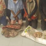 Four Arrested for Goat Theft in Kavango West