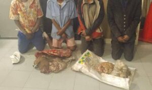 Four Arrested for Goat Theft in Kavango West