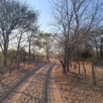 Villagers Say Illegal Fences Deny Them Access to Natural Resources