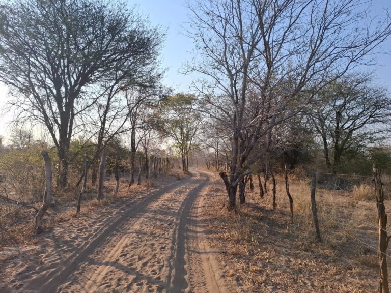 Villagers Say Illegal Fences Deny Them Access to Natural Resources 3 FB IMG 1755946705128