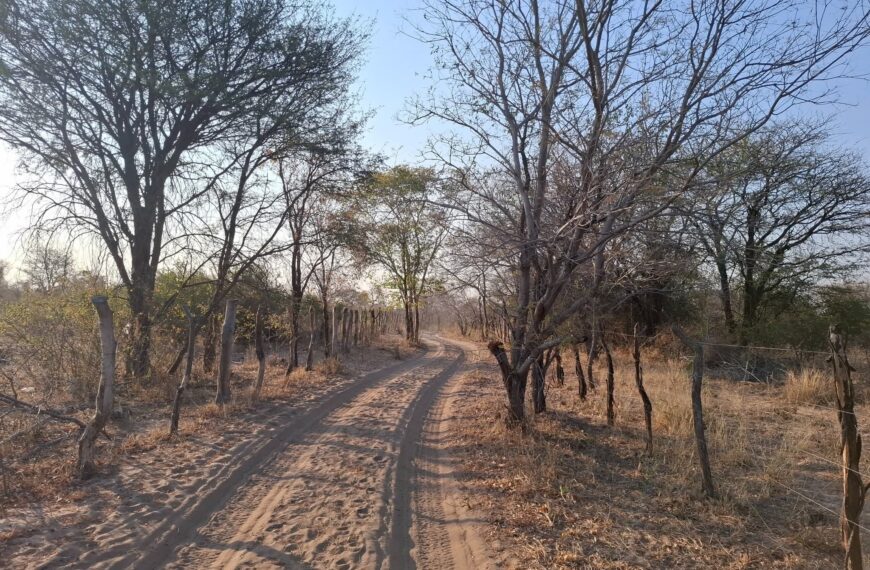 Villagers Say Illegal Fences Deny Them Access to Natural Resources