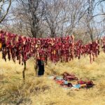 Three Arrested in Otjozondjupa After Being Found With Slaughtered Cattle