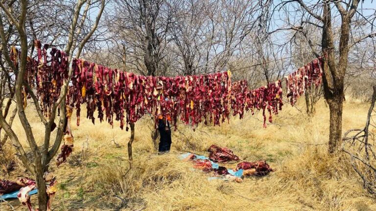 Three Arrested in Otjozondjupa After Being Found With Slaughtered Cattle 4 Three Arrested in Otjozondjupa After Being Found With Slaughtered Cattle