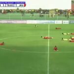 Bees Cause Temporary Suspension of Tanzanian Football Match