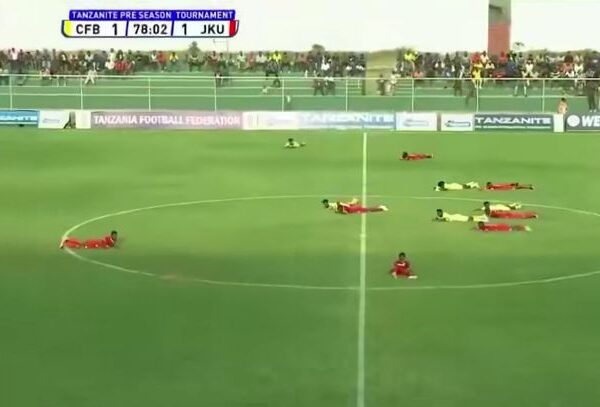 Bees Cause Temporary Suspension of Tanzanian Football Match