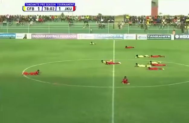 Bees Cause Temporary Suspension of Tanzanian Football Match