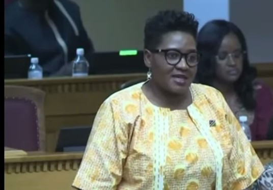 Government Launches Effort to Support Schoolgirls with Sanitary Pads