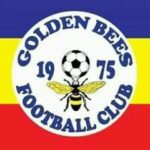 Golden Bees FC