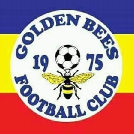 Golden Bee FC