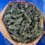 Police Trap Leads to Arrest of Two Congolese Nationals in Walvis Bay