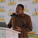 Electricity Control Board (ECB) Chief Executive Officer Robert Kahimise