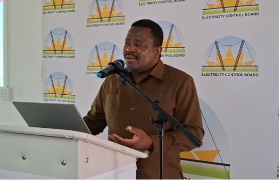 Electricity Control Board (ECB) Chief Executive Officer Robert Kahimise