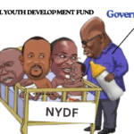 Some youth feel that National Youth Development Fund is Losing it's Clear Purpose