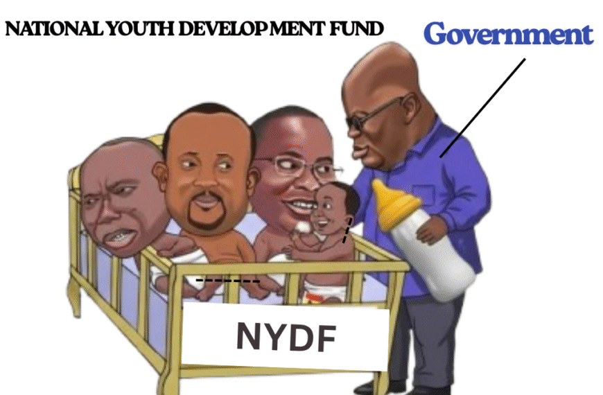 Some youth feel that National Youth Development Fund is Losing it's Clear Purpose