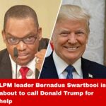 LPM leader Bernadus Swartbooi is about to call Donald Trump for help