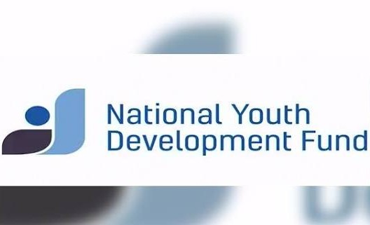Government Approves 66 Youth Projects&hellip;