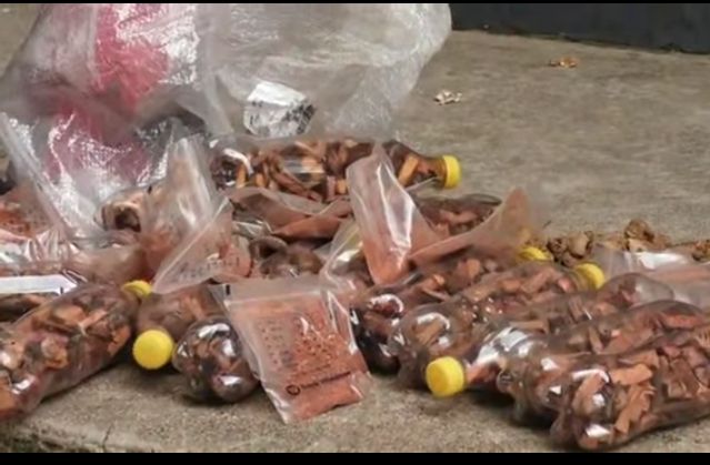 Zambezi Authority arrests Zambian herbalist over undeclared products 2 Herbal products seized