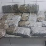 Cannabis worth N$597,000 | picture Contributed