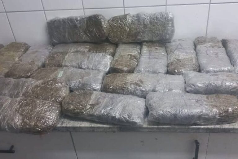 Cannabis worth N$597,000 seized at Nankudu village, Kavango West 5 Cannabis worth N$597,000 | picture Contributed