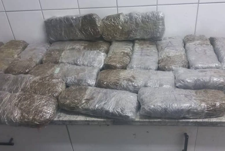 Cannabis worth N$597,000 seized at Nankudu village, Kavango West 1 Cannabis worth N$597,000 | picture Contributed