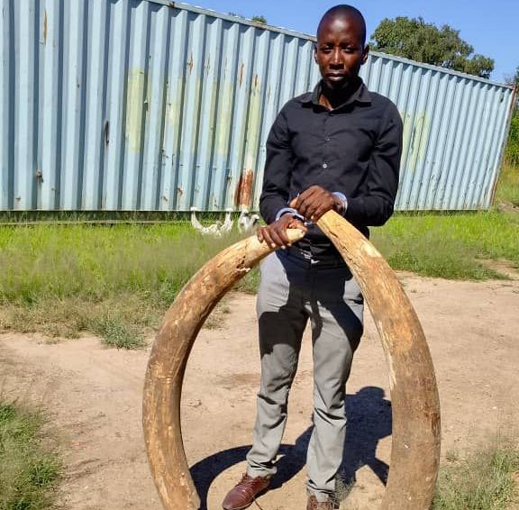 Namibian Special Forces Corporal Jailed for Ivory Trafficking in Zambia 1 Corporal Mowa James Mukela (37) | Picture Contributed