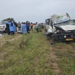 Passenger Bus Collides with Elephant Herd in Omusati, Driver Injured