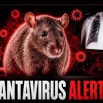 HantasVirus