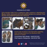 Police seek public assistance in identifying human remains found in Otjomuise
