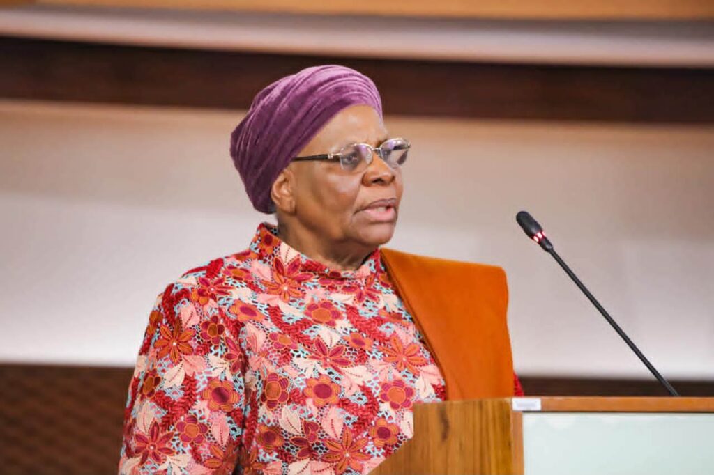 President Nandi-Ndaitwah pushes for stronger economic cooperation at Namibia-South Africa summit 1 1000045906