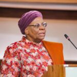 President Nandi-Ndaitwah pushes for stronger economic cooperation at Namibia-South Africa summit