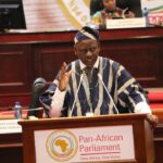 Pan-African Parliament Committee Calls for Stronger Action to End Sudan Conflict
