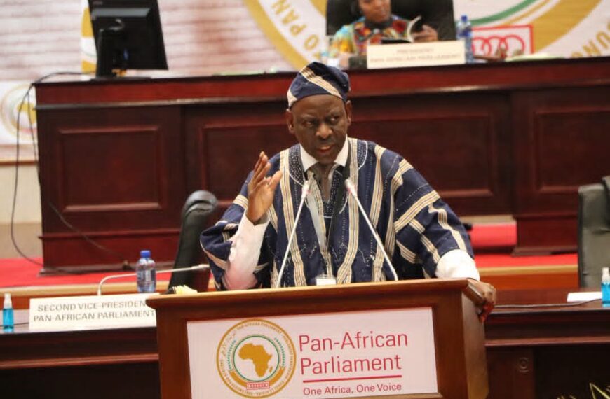 Pan-African Parliament Committee Calls for Stronger Action to End Sudan Conflict