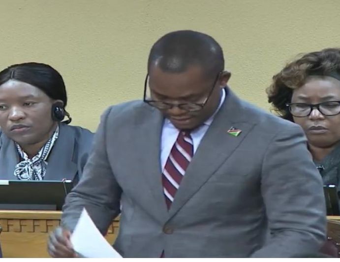 Amutenya Presses Finance Minister on Delays in Digitalising PAYE 5 Certificates 1 1001158932