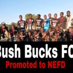 Bush Bucks FC join Black Hawks FC on NEFD following a Historic NEFD Promotion