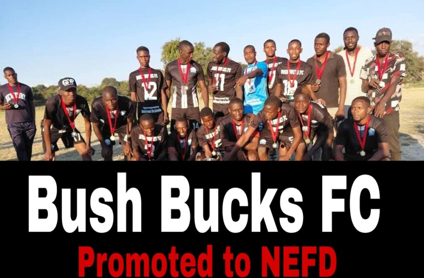 Bush Bucks FC join Black Hawks FC on NEFD following a Historic NEFD Promotion