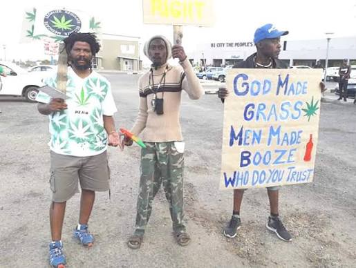 Ganja Users of Namibia’s Cannabis Court Challenge Dismissed as Premature