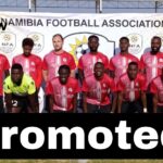 DTS FC secure promotion to Southern Stream First Division