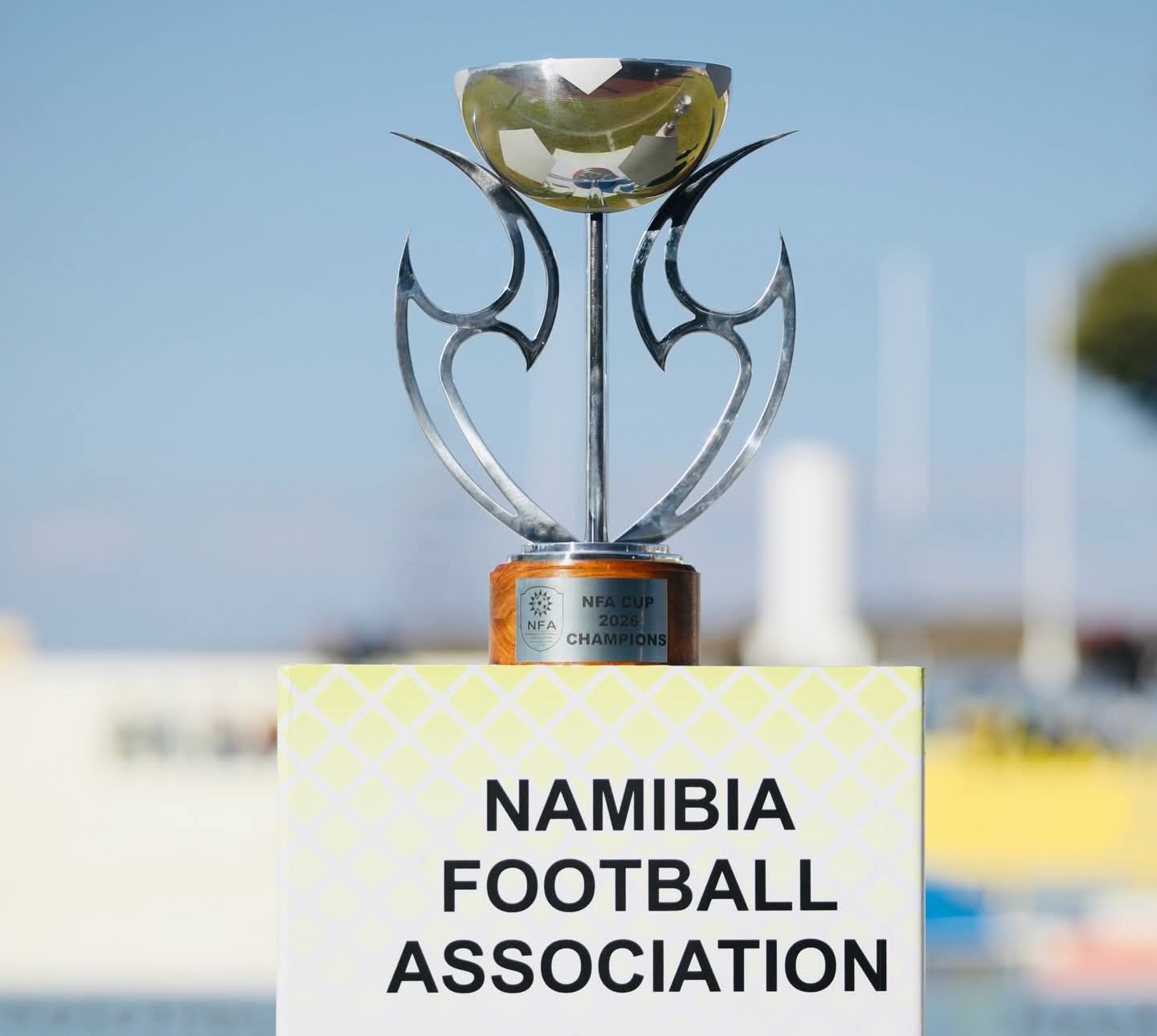 NFA Cup
