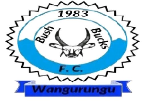 Bush Bucks FC