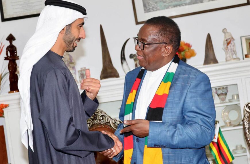 Mnangagwa, UAE Minister Discuss Trade, Investment and Border Digitisation