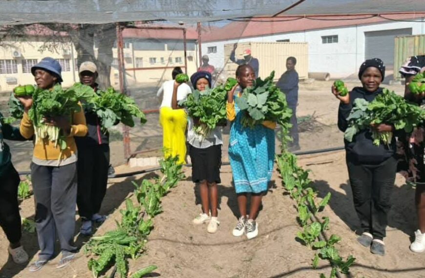 Ongwediva Community Garden Records Second Harvest as Food-Security Initiative Gains Momentum