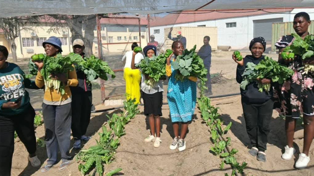 Ongwediva Community Garden 