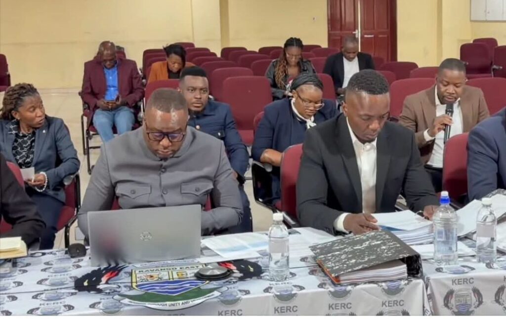 PAC Summons Rundu Town Council, Kavango East Regional Council Over Audit Concerns