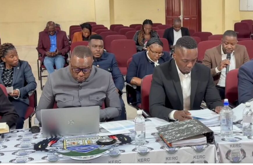 PAC Summons Rundu Town Council, Kavango East Regional Council Over Audit Concerns